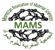 logo_MAMS_3.png